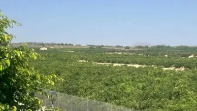 Chalet en Algorfa photo 29