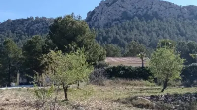 Chalet in Abanilla photo 35
