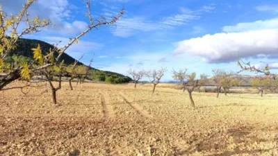 Rustic House in Yecla photo 8