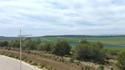Chalet in Algorfa photo 34