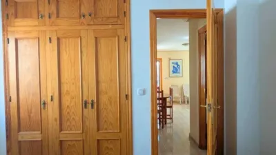 Chalet in Algorfa photo 22