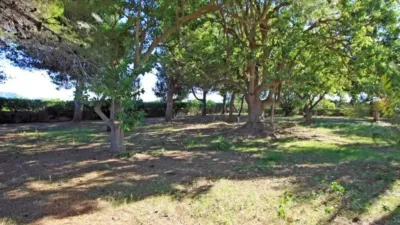 Chalet in El Verger photo 25