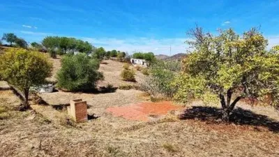 Rustic property in El Campillo photo 47
