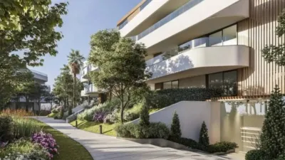 Apartment in Barrio San Roque photo 13
