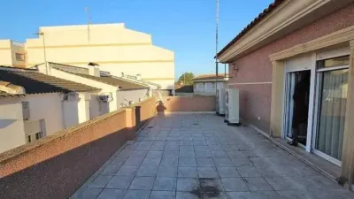 Chalet in Formentera del Segura photo 11