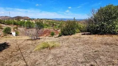 Rustic property in El Campillo photo 46