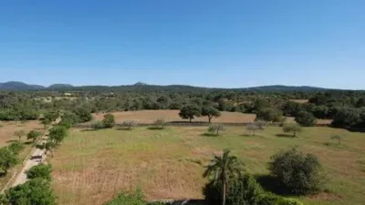 Rustic house in Algaida photo 24
