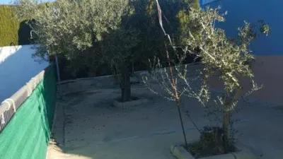 Rustic house in Bullas photo 15