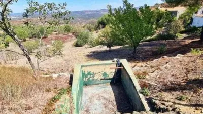 Rustic property in El Campillo photo 50