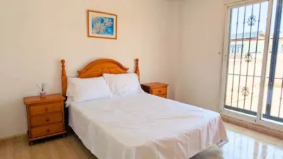 Chalet in Algorfa photo 28