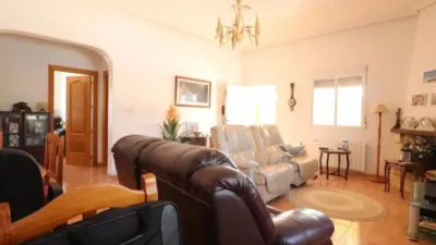 Rustic house in Albatera photo 8