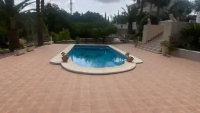 Chalet in Algorfa photo 10