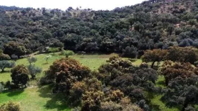 Rustic house in La Nava photo 5
