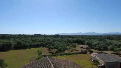 Rustic house in Algaida photo 22