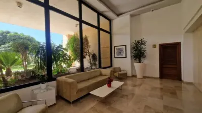 Apartment in Benidorm photo 2
