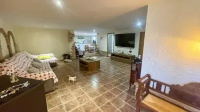Chalet in Formentera del Segura photo 25