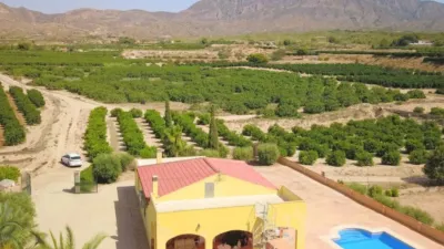 Rustic house in Albatera photo 44