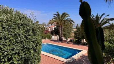 Chalet in Algorfa photo 25