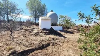 Rustic property in El Campillo photo 33