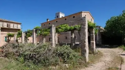 Rustic house in Algaida photo 6