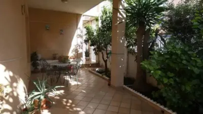 Chalet in Almoradí photo 2