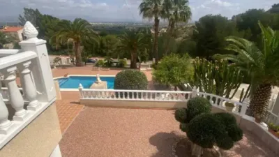 Chalet in Algorfa photo 12