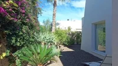 Chalet in Algorfa photo 43