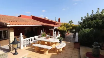 Chalet en Algorfa photo 49