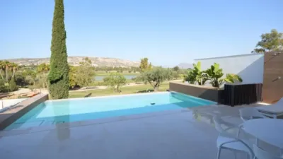 Chalet en Algorfa photo 43