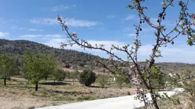Chalet in Abanilla photo 30