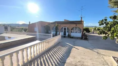 Rustic house in Yecla photo 2