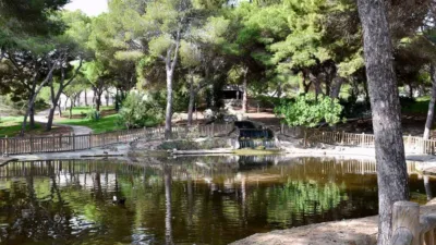 Apartment in Guardamar del Segura photo 43