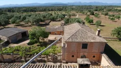 Rustic house in Algaida photo 20