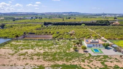 Chalet in Los Montesinos photo 24