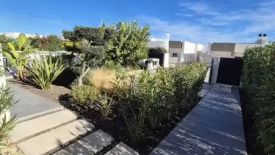 Chalet in Algorfa photo 18