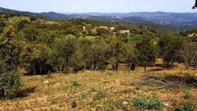 Rustic house in La Nava photo 22