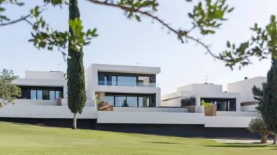 Chalet in Algorfa photo 28