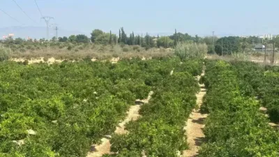 Chalet en Algorfa photo 30