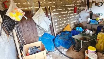Rustic house in Cortegana photo 53