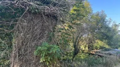 Rustic house in Saro photo 2