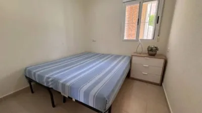 Chalet in Algorfa photo 17