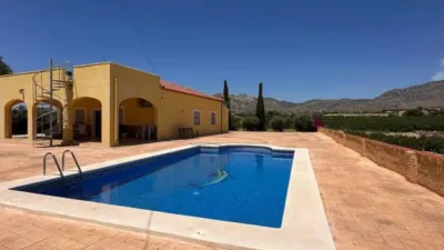Rustic house in Albatera photo 37