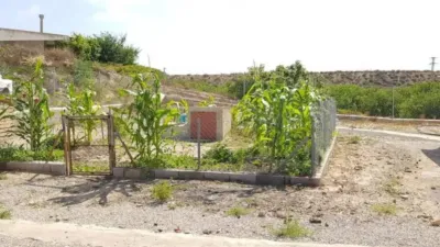Rustic house in Almoradí photo 18
