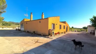 Rustic house in Yecla photo 6