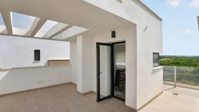 Chalet in Guardamar del Segura photo 38
