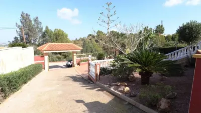 Chalet en Algorfa photo 42