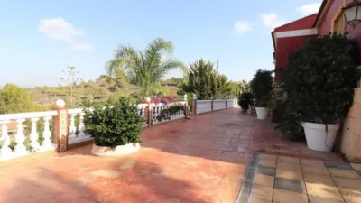 Chalet en Algorfa photo 37