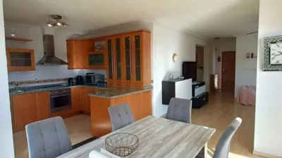 Chalet in Algorfa photo 8