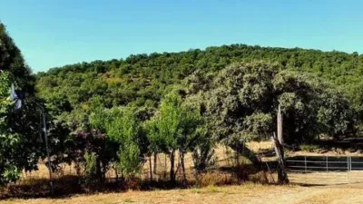 Rustic house in La Nava photo 17