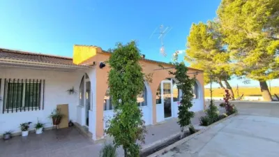 Rustic house in Yecla photo 5